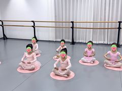 -中央芭蕾舞团·中芭艺蕾(酒仙桥明星校区)