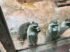 -杭州野生动物世界