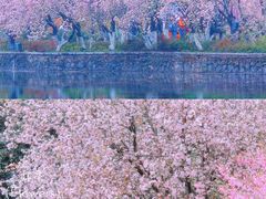 -大鹏饭店·金陵家宴(奥体中心店)