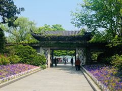 -西湖外事游船(花港观鱼码头)