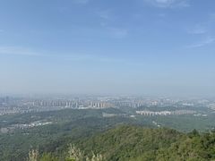 -紫金山山顶公园