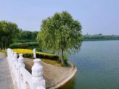 -南海子公园