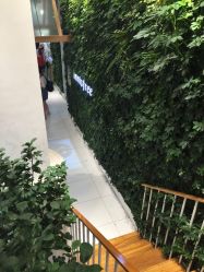 -悦诗风吟innisfree