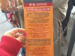 -飞天翼龙