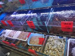 水产区-金海湾海鲜排档(朱家尖店)