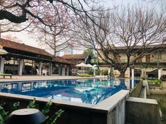 -喜洲吧·江畔老船厂·庭院餐厅(喜临院店)