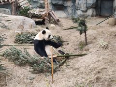 -泉州海丝野生动物世界