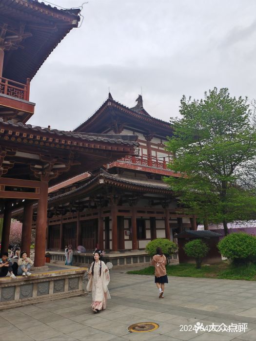 西安青龙寺遗址景区图片