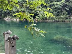 -石台牯牛降景区