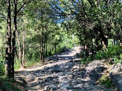 -阳台山自然风景区