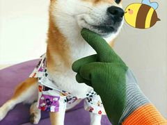 -怪兽屋·羊驼·猫咖·狗咖(俊华广场店)