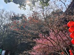 -北高峰
