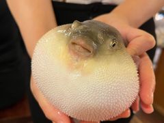 -永安鱼庄·镇江菜(丁卯店)