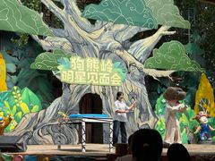 -郑州方特梦幻王国