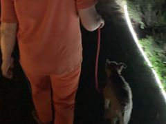 -大塘金香草谷