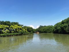 -大湾区中央湿地公园