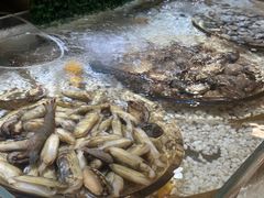 -上海神旺大酒店