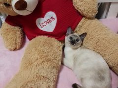 -椰子下蛋(南锣鼓巷店)