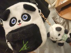 -轩客会(熊猫书店)