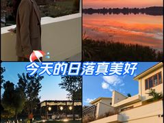 -东湖落雁景区