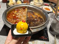 -一绪に寿喜烧(虹悦城店)
