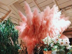 -春暖花开(西溪店)