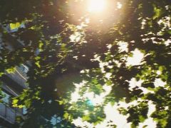 -茉酸奶(春熙路店)