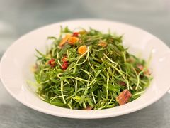 -丁老爷子苏香圆