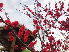 -苏州吴中太湖旅游区