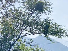 -太阳湾风景区