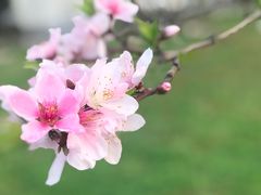 -宿迁学院