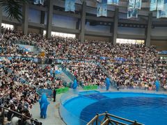 -海合安成都极地海洋公园