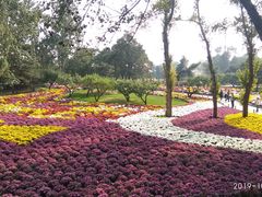 -北京植物园-展览温室