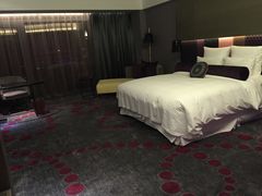 -南京禄口机场雅高铂尔曼大酒店