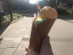 -成裕雪糕店(士多店)