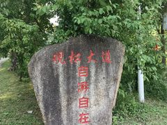 -五营国家森林公园