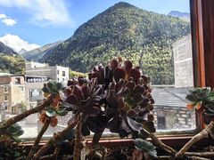 -四姑娘山阿巴郎·藏式花园餐厅