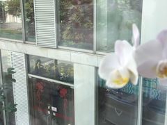 -北京同仁堂施小墨中医馆(建外SOHO店)