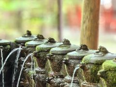 -土砂锅生态山庄·非遗砂锅雅鱼