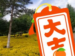 -莫子山公园