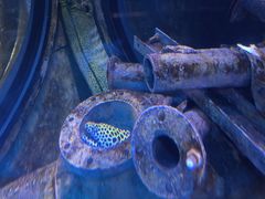 -成都浩海立方海洋公园