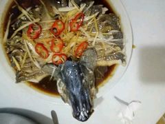 -煲来饱去冷水鱼