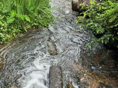 -中国茶叶博物馆(双峰馆区)