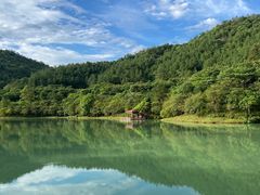 -广州白江湖森林公园