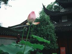 -成都市文殊院