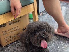 -瑞鹏宠物医院华南总院·夜诊·心脏科·骨科