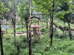 -中国大熊猫保护研究中心雅安碧峰峡基地