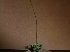 -乐享养生(东湖店)