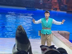 -哈尔滨波塞冬海底世界