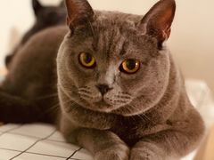 -欢乐迪氧吧KTV(大渡口步行街店)